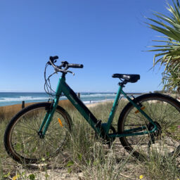 Cruiser Step Through Electric Hybrid Green