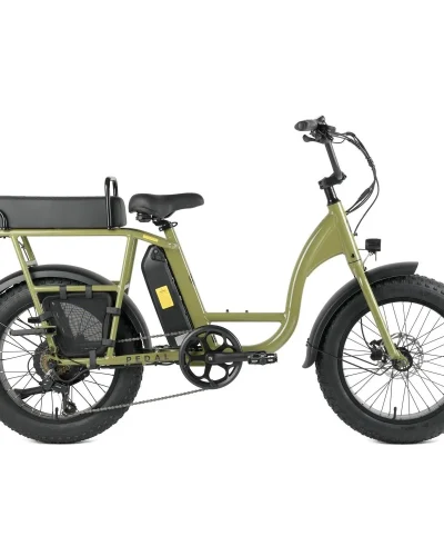 Pedal Brewer Electric Cruiser
